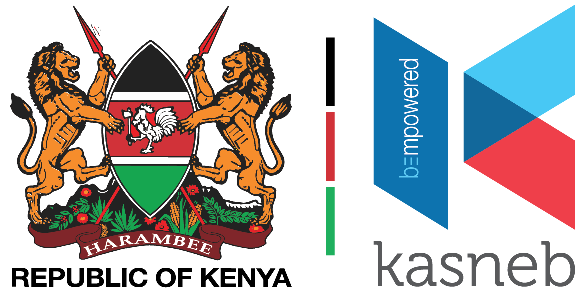 Kasneb Examining Board