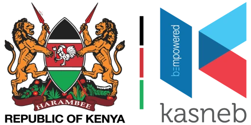 Kasneb Examining Board